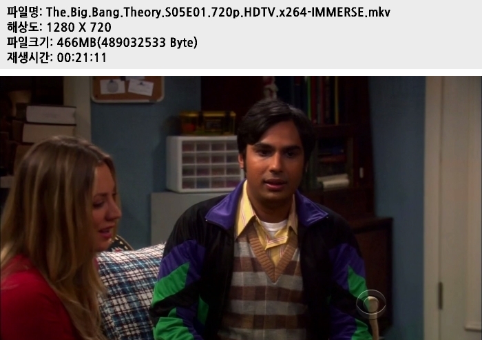 빅뱅이론 시즌5 The.Big.Bang.Theory.S05E01.720p.HDTV.x264